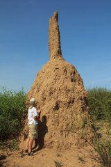03-Giant termite hill